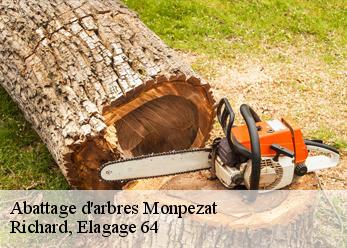 Abattage d'arbres  monpezat-64350 Richard, Elagage 64