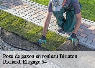 Pose de gazon en rouleau  biriatou-64700 Richard, Elagage 64