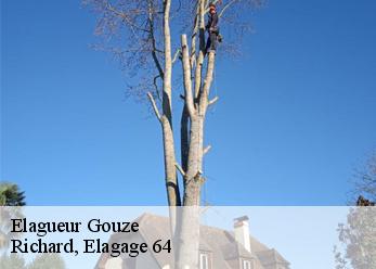 Elagueur  gouze-64300 Richard, Elagage 64