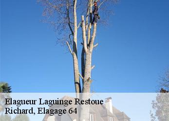 Elagueur  laguinge-restoue-64470 Richard, Elagage 64